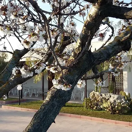 I Tre Ciliegi Отель типа 