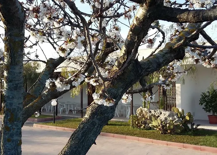 I Tre Ciliegi Bed & Breakfast Otranto